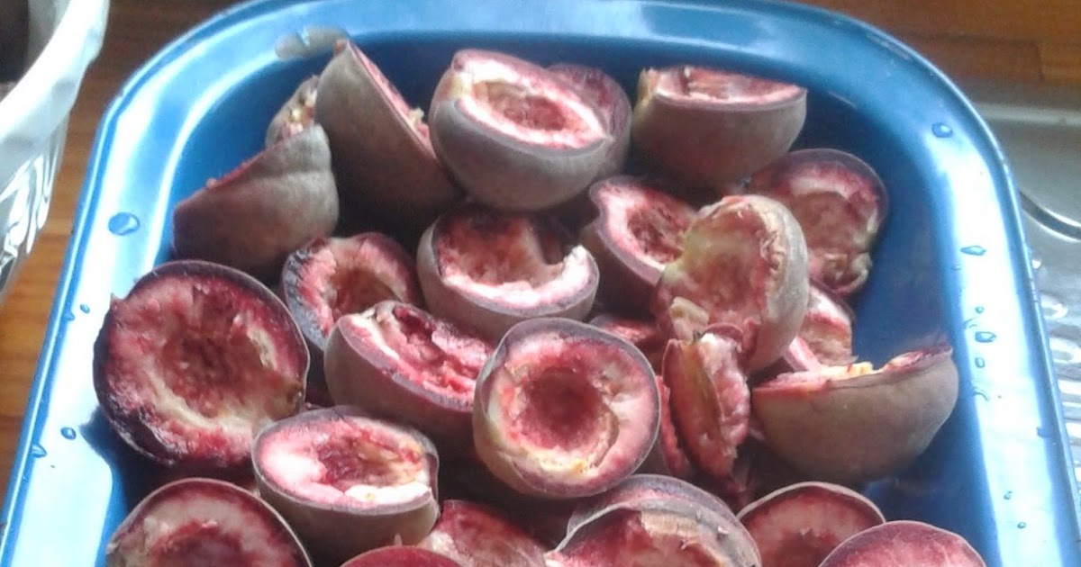 The Professional Countrywoman Garden Blog Preserving Black Boy Peaches