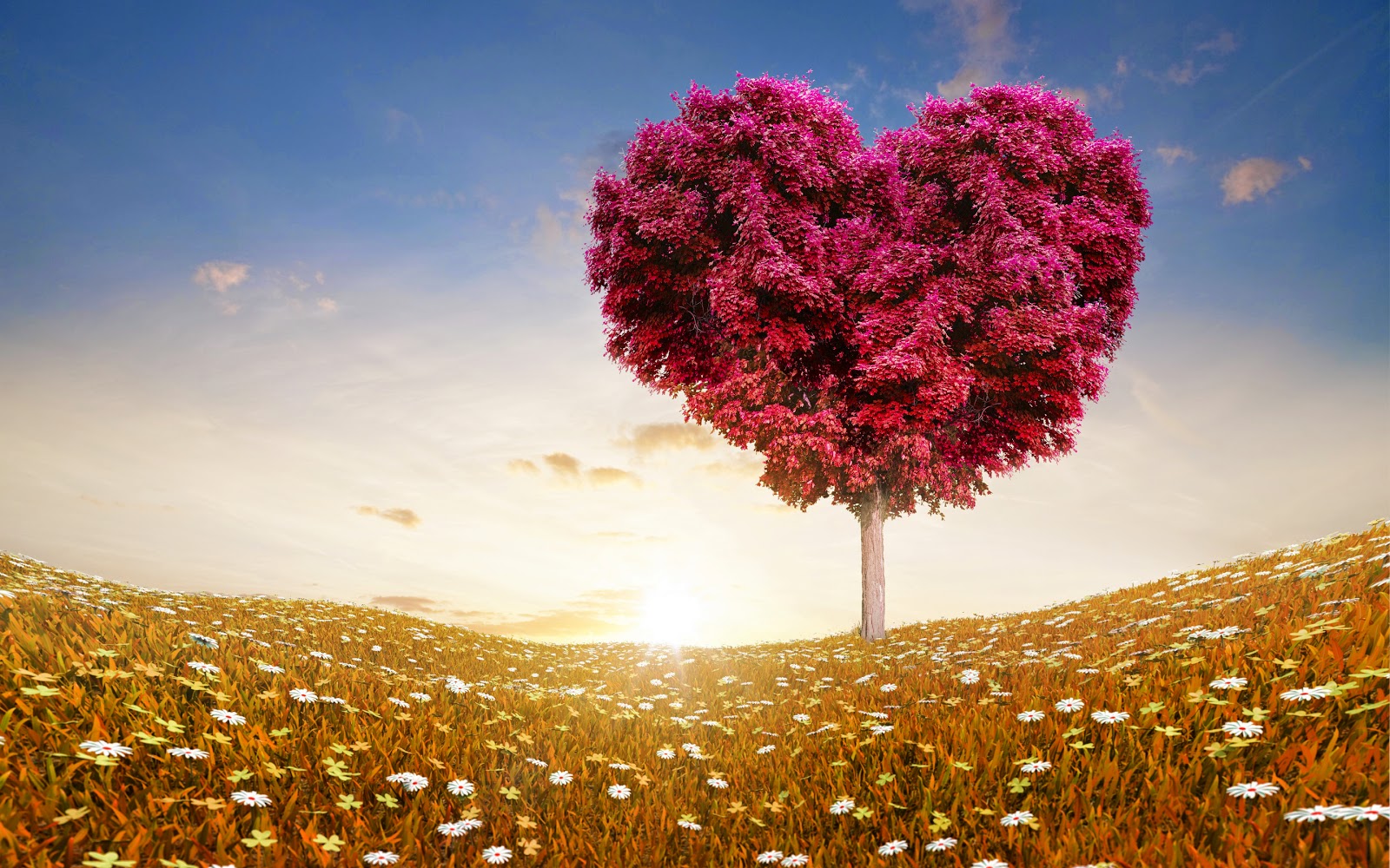 love heart tree fields wide