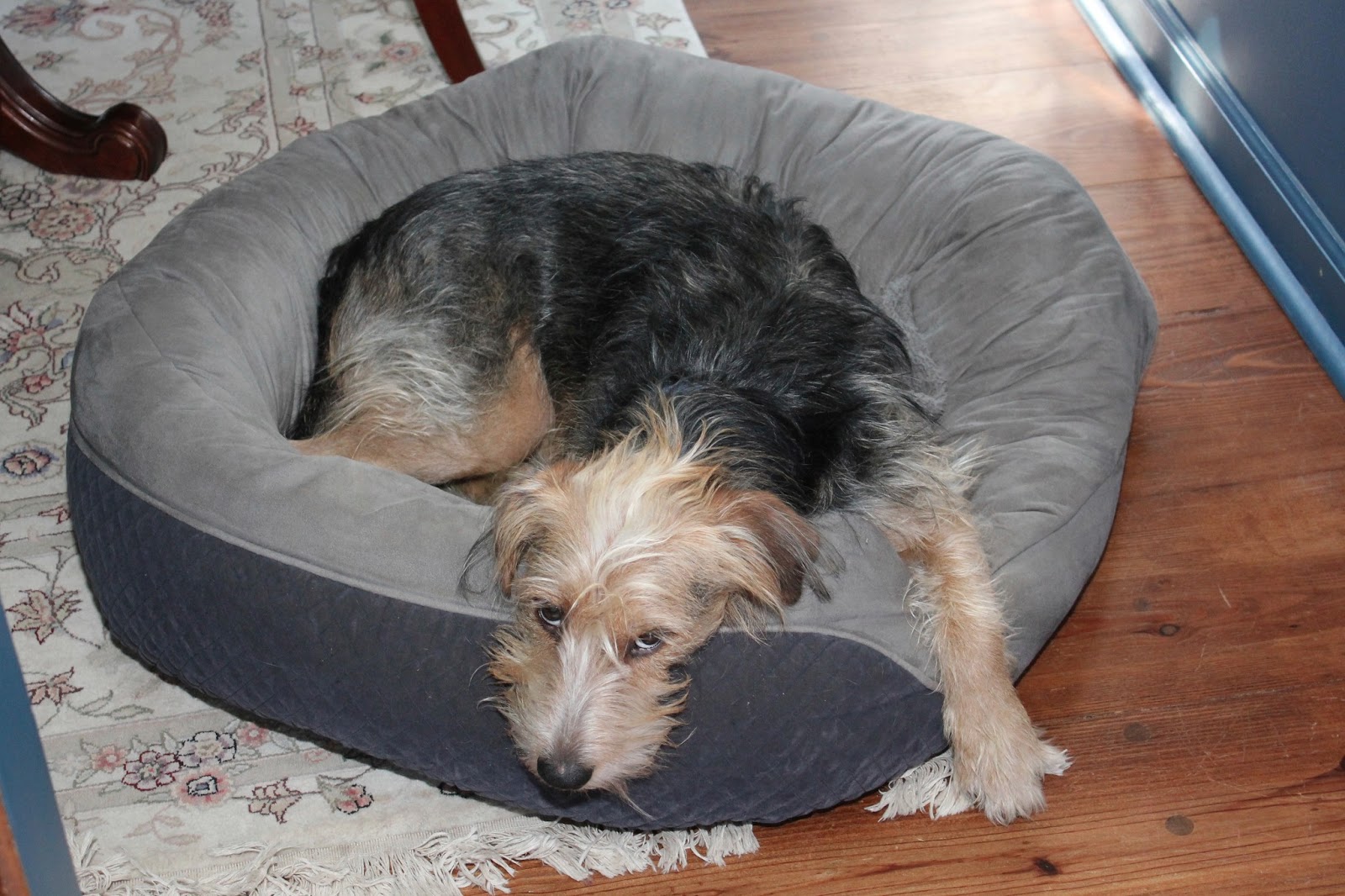 This is the same bed as above.