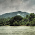 TAMAN NEGARA OLDEST RAINFOREST ON THE PLANET