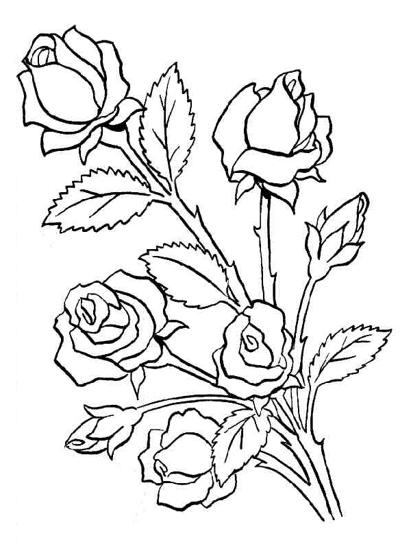 Imagenes de ramos de rosas rojas para sorprender a esa