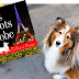 Love Dogs and France? This Book Giveaway Is for You!