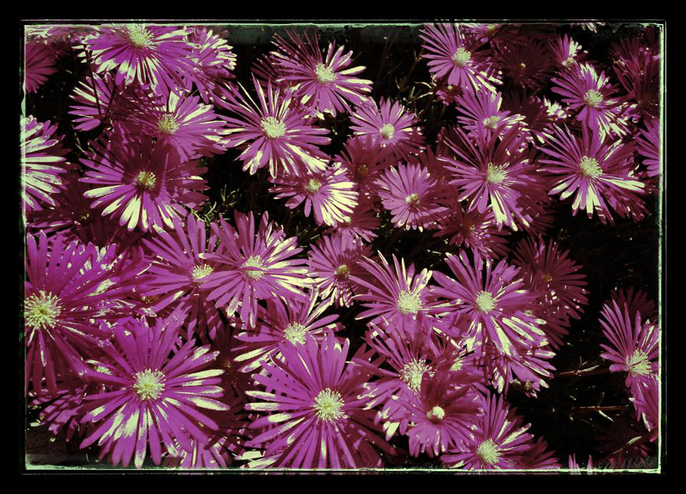 301 Moved Permanently