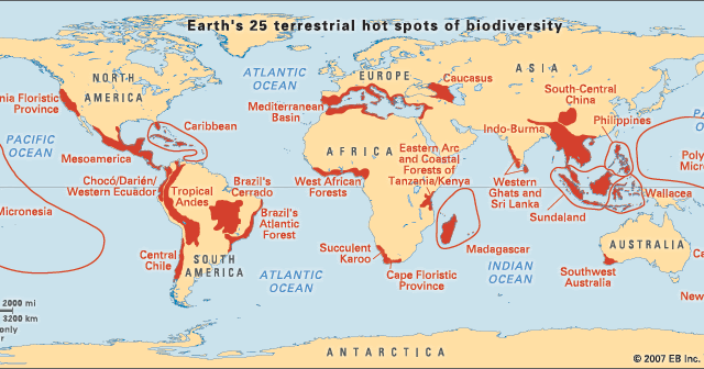 MY NATION STUFFED WITH PROBLEMS YET STANDING TALL: BIODIVERSITY HOTSPOTS