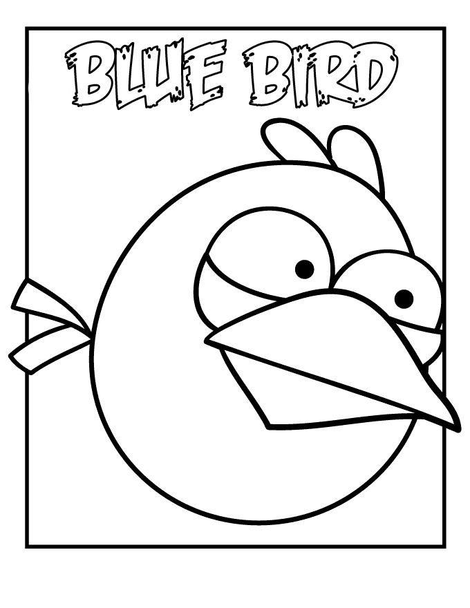 blue angry bird coloring page fazendo a minha festa para colorir angry birds imagens blue angry bird coloring page fazendo a minha festa para colorir angry birds imagens