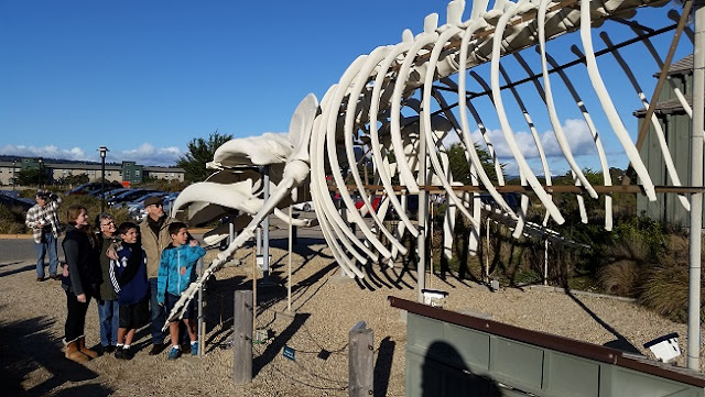 Seymour Marine Discovery Center