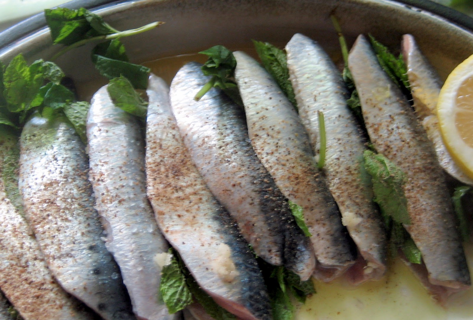 PEBBLE SOUP The Humble Sardine & Omega 3