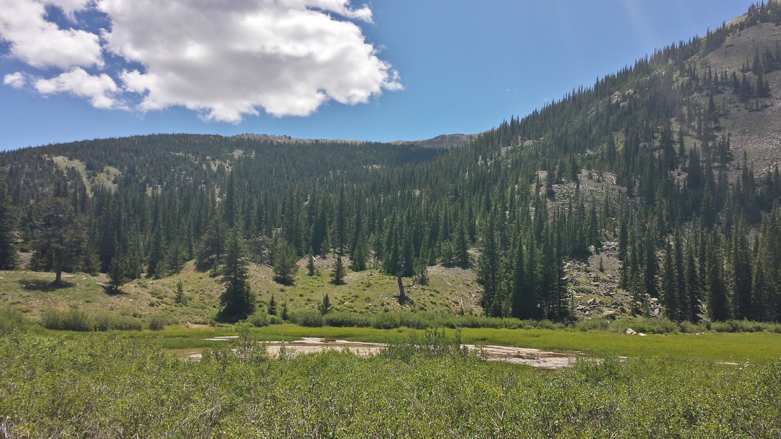 Wilderness Wanderings Silver CreekColorado Trail
