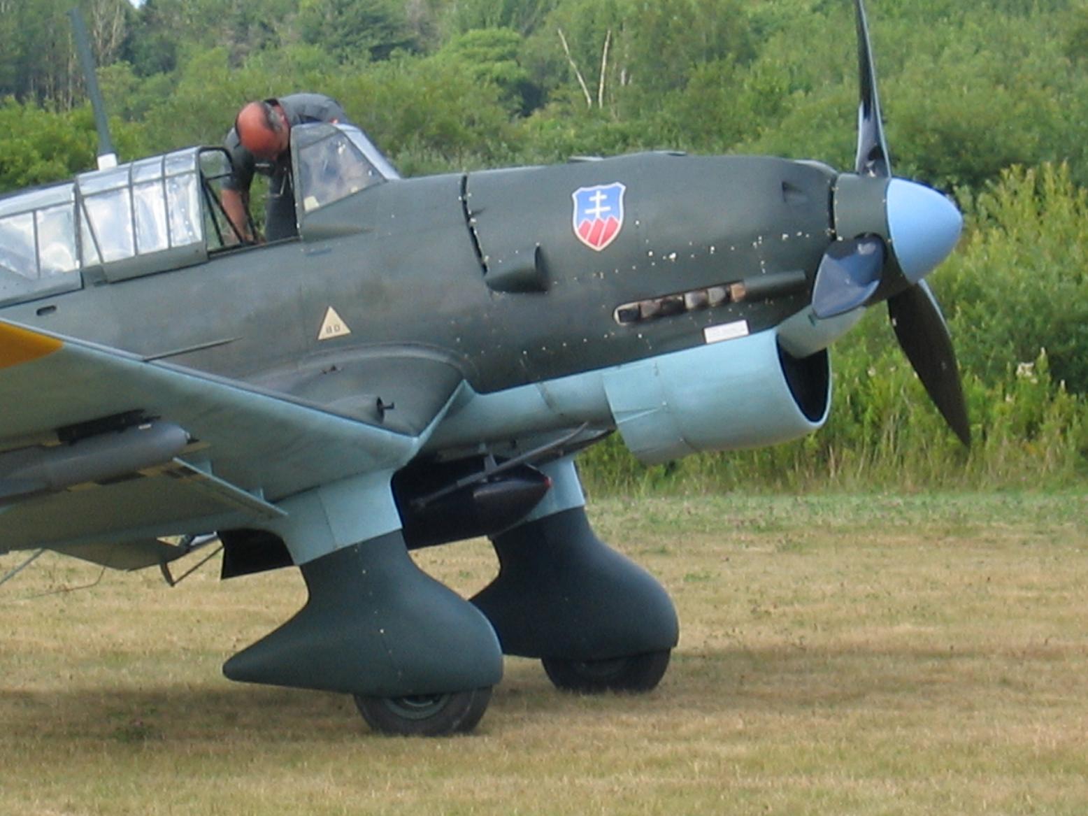 Stuka Replica