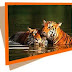 Corbett National Park