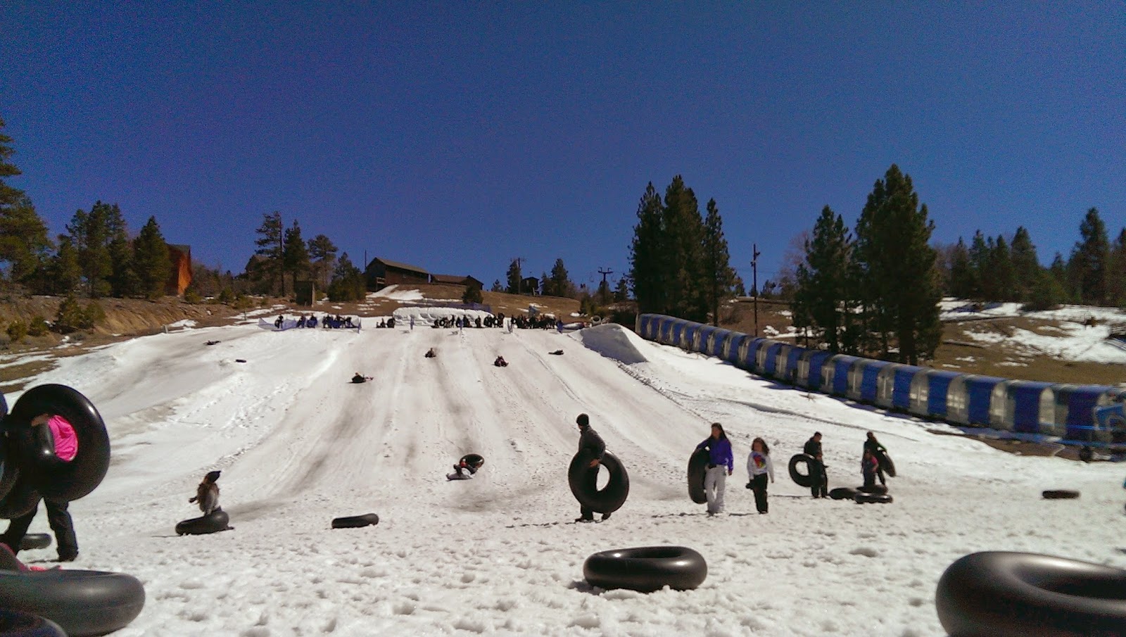 Alpine+Slide Alpine Slide Big Bear Review - Vacation Big Bear