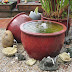 5 Tips For Finding the Perfect Place For Your Garden Water Fountain
