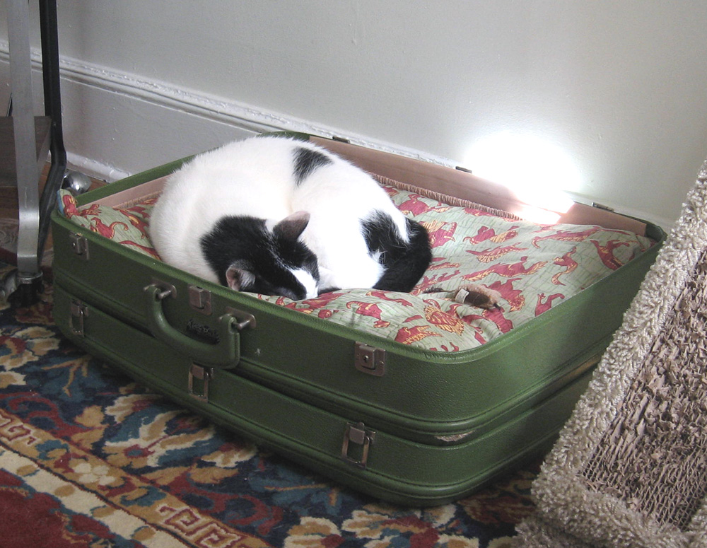 {il} {gatto} {sellvateeko} Vintage Suitcase Cat Bed