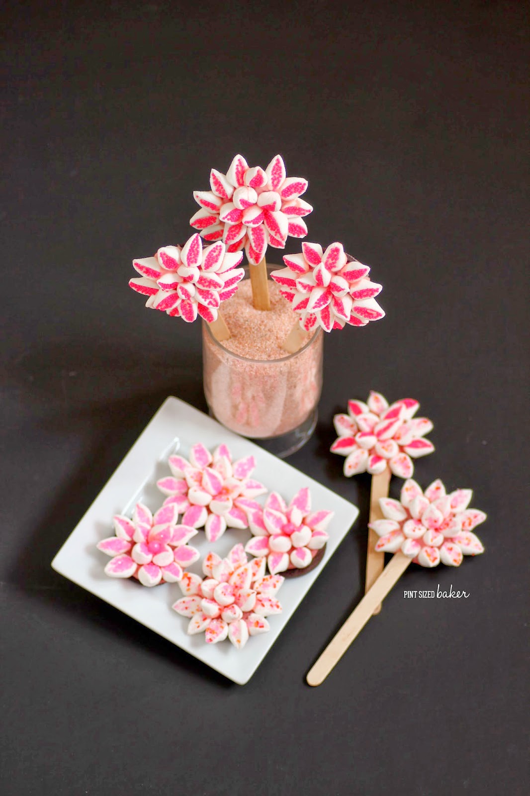 Oreo Mum Cookie Flowers 5 1+ps+Oreo+Mum+flowers+(26)