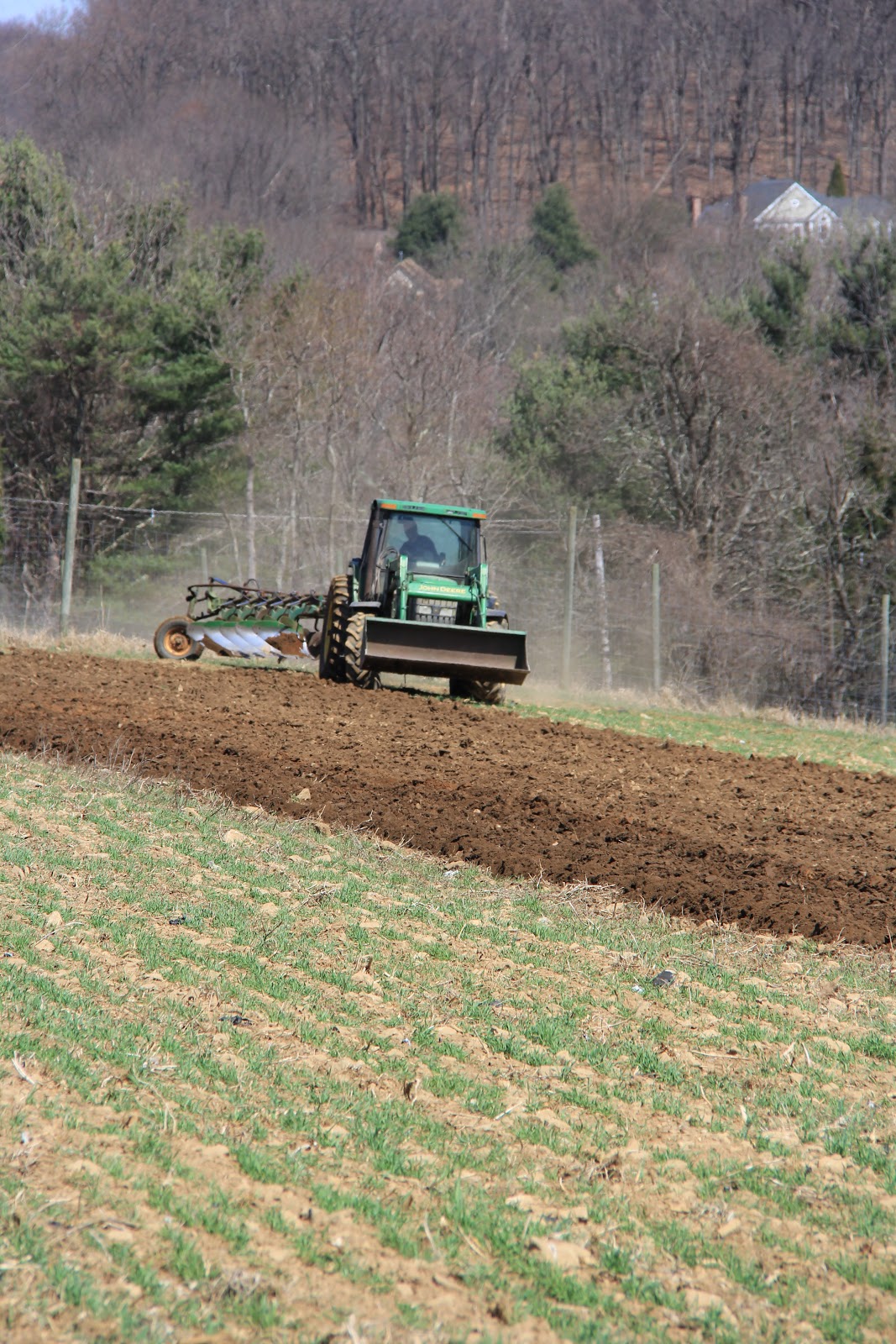Stony Hill Farms CSA Plowing & Disking