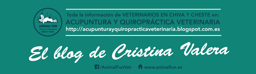 ANIMAL FUN · Veterinarios Chiva y Cheste