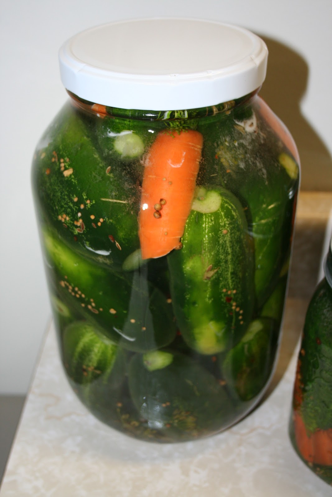 Tammy's Craft Emporium Dill Pickles Lacto Fermentation recipe