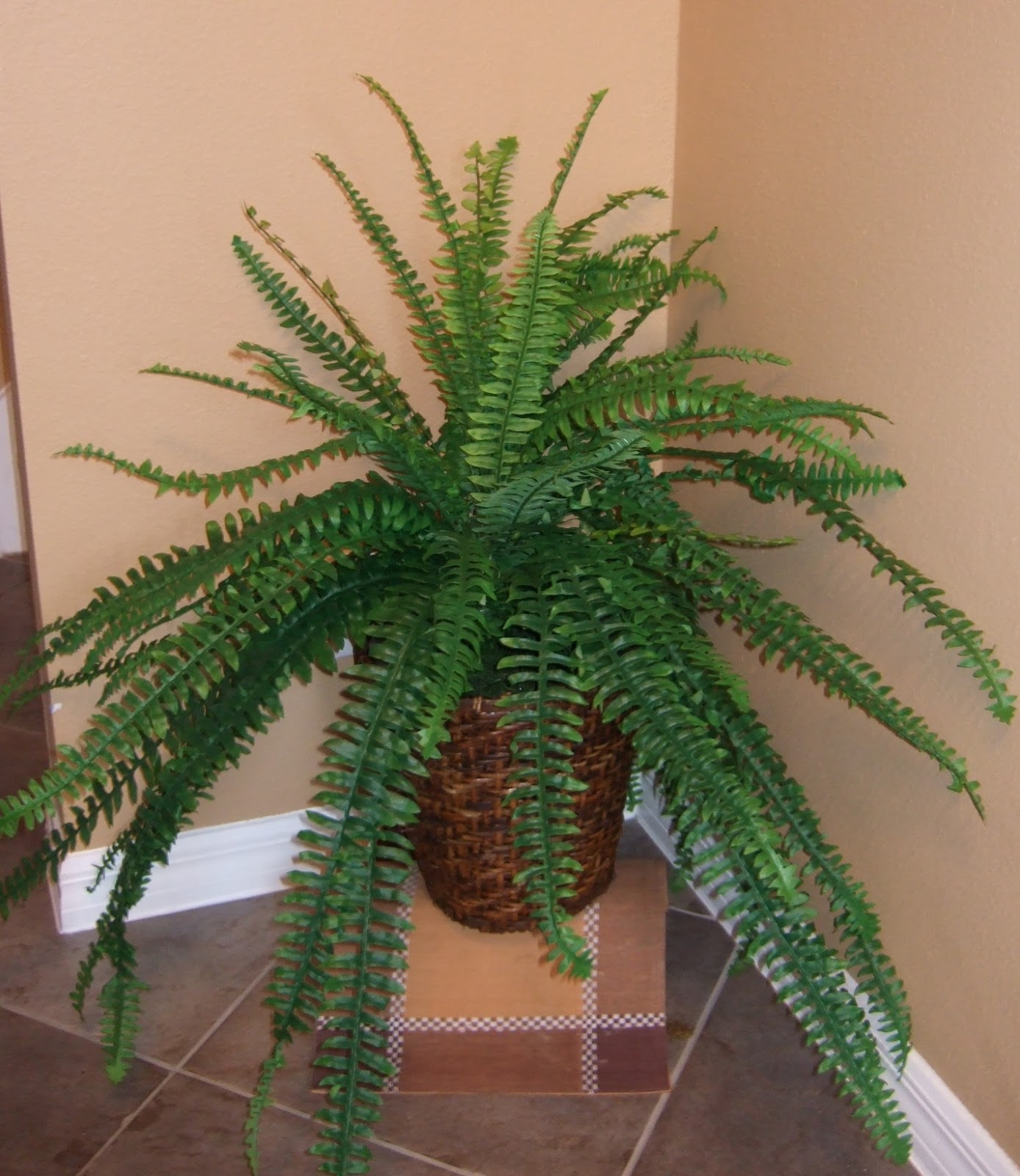 Ana Silk Flowers Images of Silk artificial Ferns!!!!