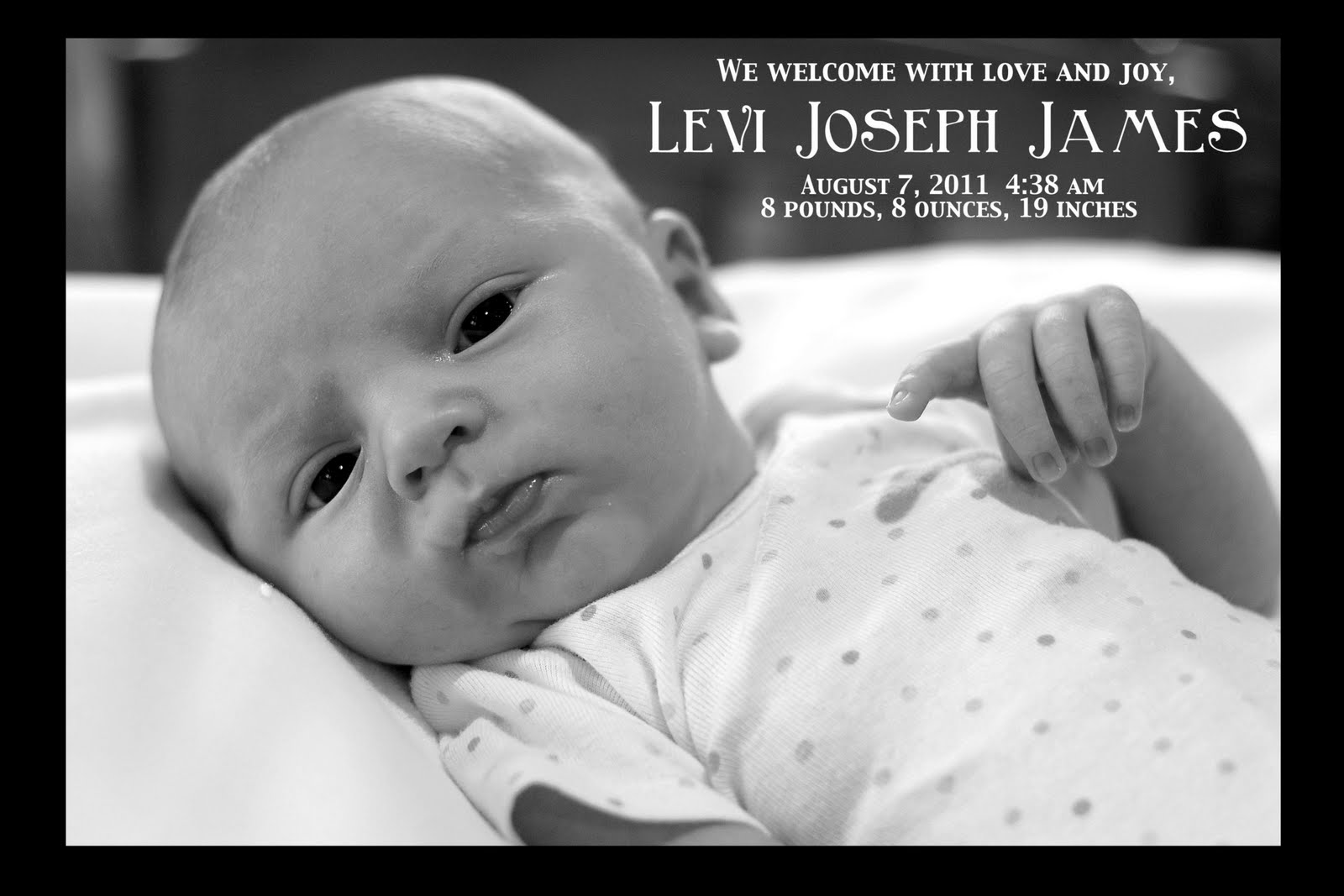 sea kettle diaries DIY Birth Announcements