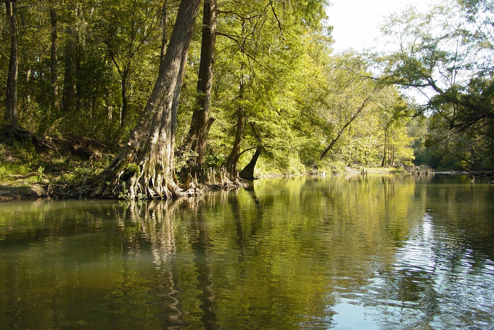 Fishing Through Life Rivers, Streams, Water Falls, Food and More