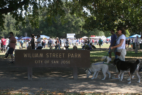 San Jose Dog Rescue Groups San Jose Dog Rescue Groups