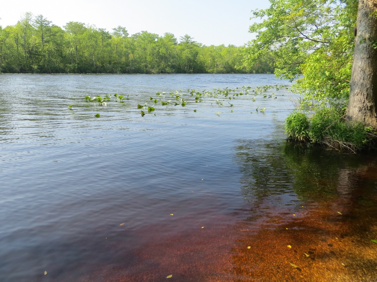 Traveling Roadmantics Relatives, The River and the Great