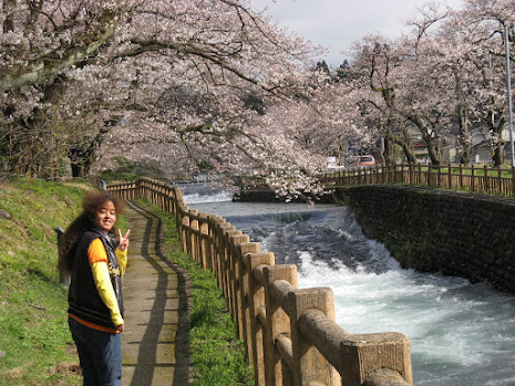 Jousai river riverside ! Yoko with Cherry blossom.