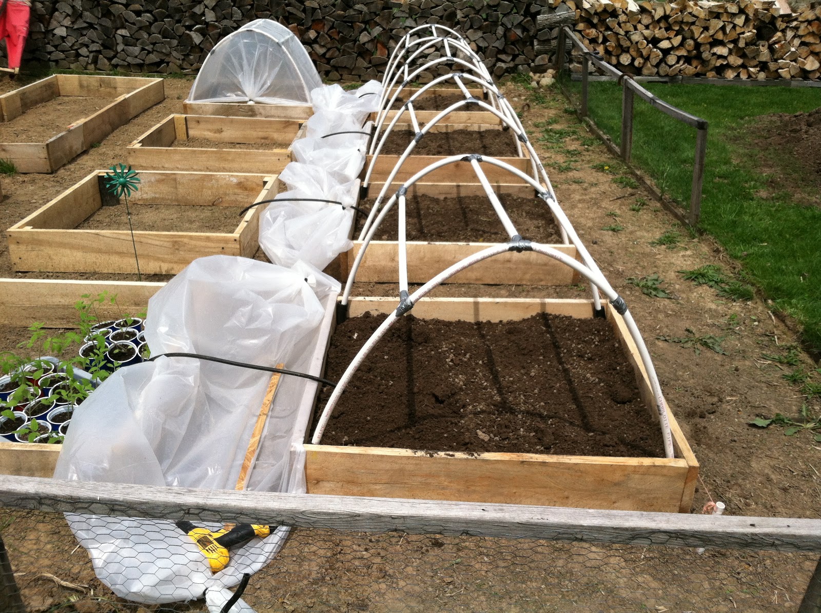 The High Cost of this Low Living: A Beautiful Day for Gardening!