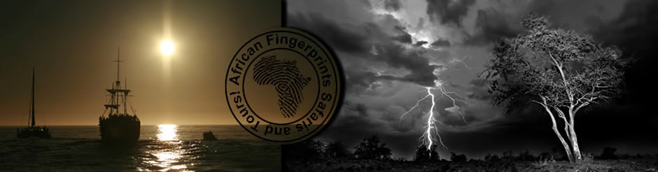 African Fingerprints Safaris and Tours