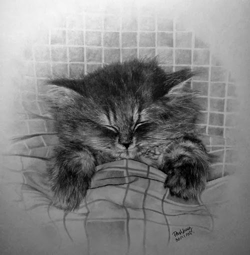 25-Hyper-realistic-Cats-Pencil-Drawings-Hong-Kong-Artist-Paul-Lung-aka-paullung-www-designstack-co