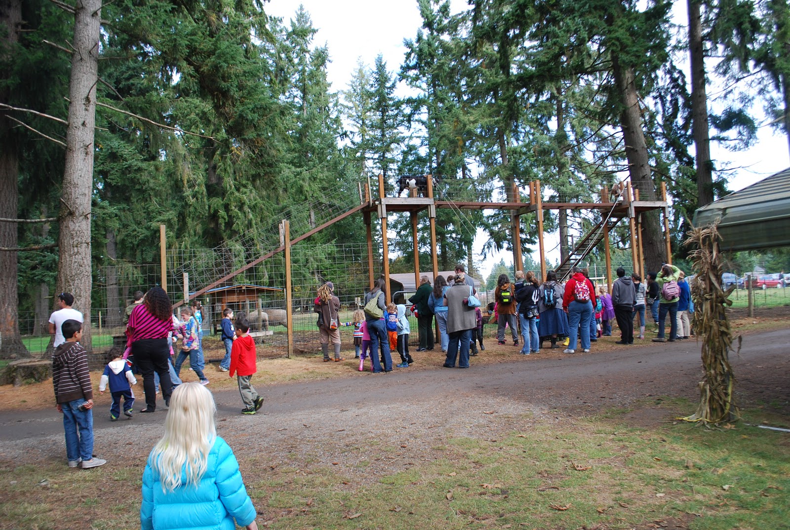 Our Creative Day Lattin's Cider Mill