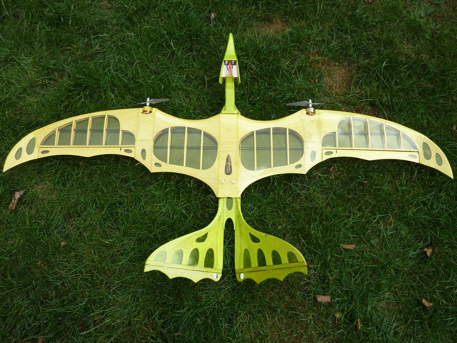 Matt Chamberlain's Radio Control Blog Pterodactyl Progress or lack