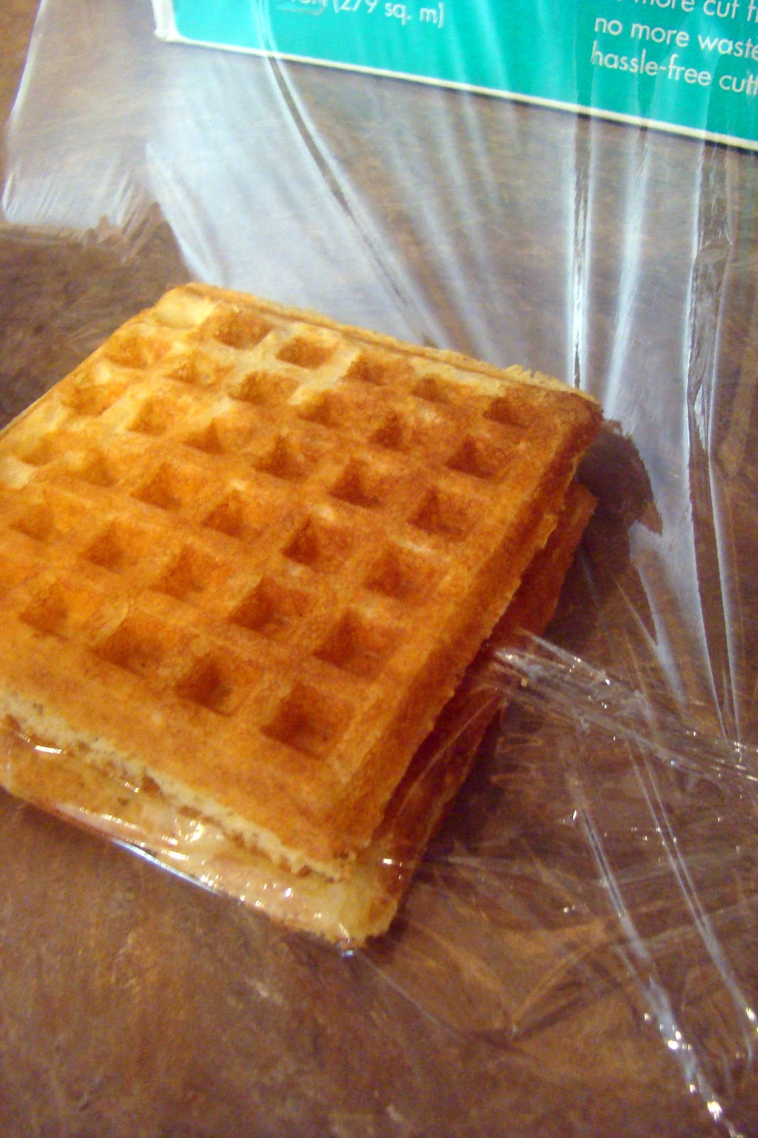 Nourished and Nurtured Homemade Freezer Waffles (soaked whole grain