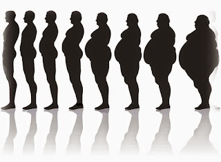 hospital based weight loss programs njmls Hospital based weight loss programs njmls little sadness