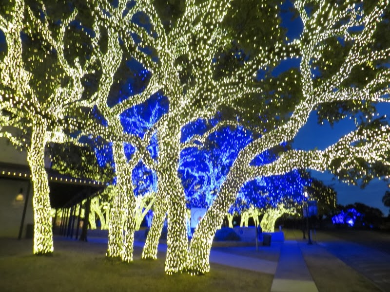 travel bug all about the lights tues dec 31 travel bug all about the lights tues dec 31