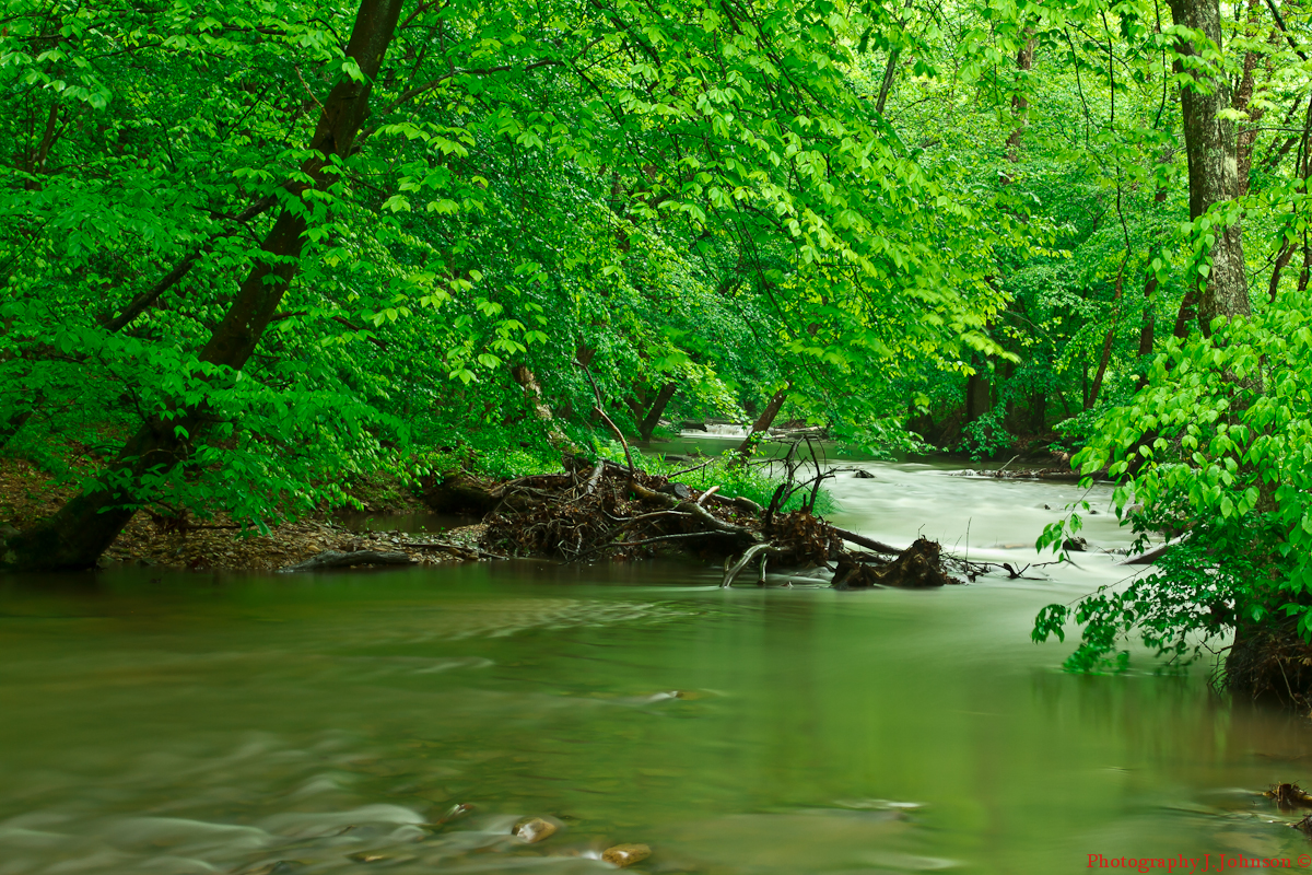 Lincoln's Domain West Virginia mountain stream