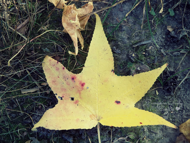 Yellow leaf