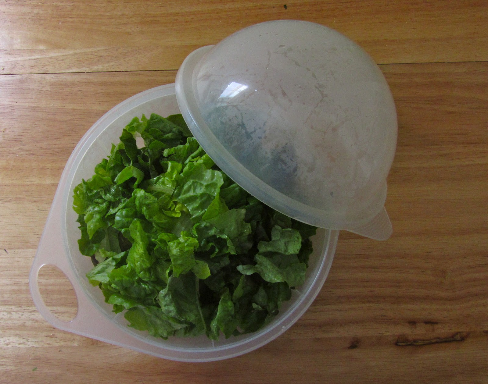 Appleshine Save Money with your Lettuce