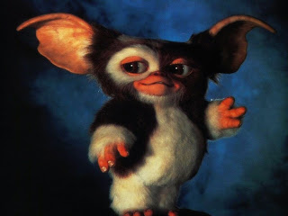 I love this little guy...