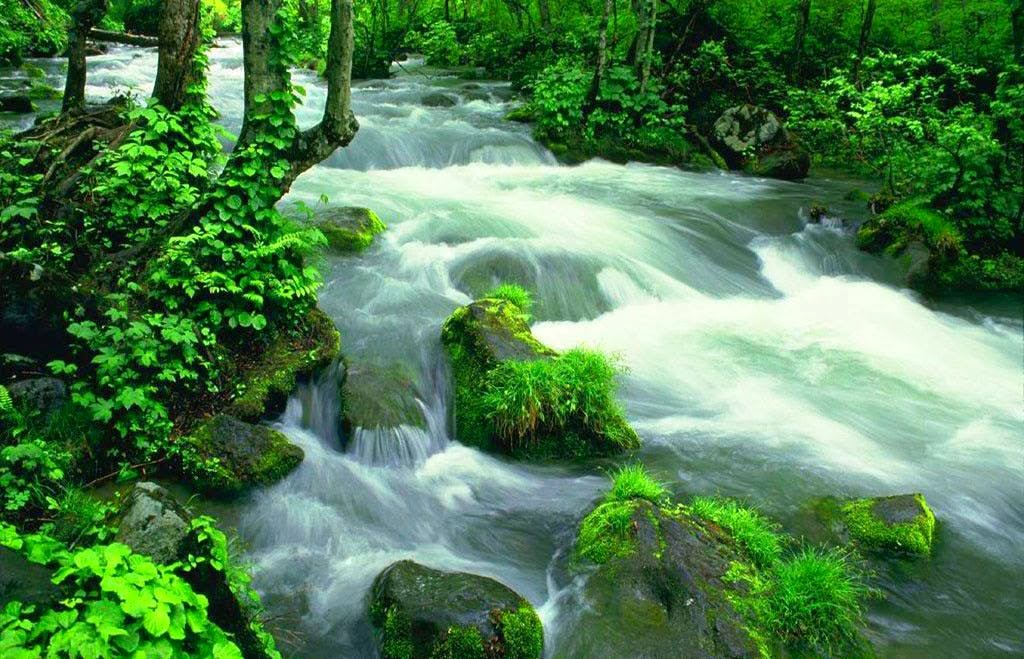 Kisah Kiyai dan Pemuda Jawapan Paling Bernas! Relaks Minda