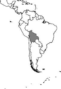 Mapa de Bolivia, ubicación en América del Sur Mapa de Bolivia, ubicación en América del Sur