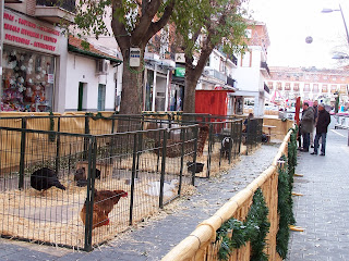 Torrejón de Ardoz, Navidad 2013 - www.ocioenfamilia.com Torrejón de Ardoz, Navidad 2013 - www.ocioenfamilia.com