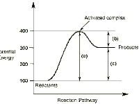 Endothermic Diagram Endothermic Diagram