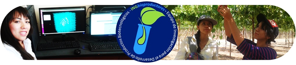 INGbioproductores