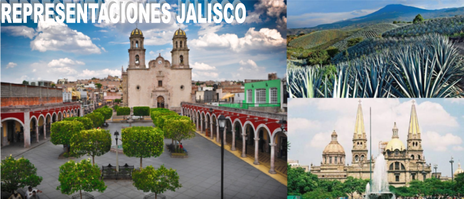 REPRESENTACIONES JALISCO