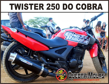 TWISTER DO COBRA