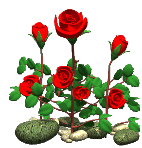 roses-swaying-back-and-forth-animation-g