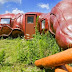 Hotel Shaped like Human Guts Hotel Shaped like Human Guts
