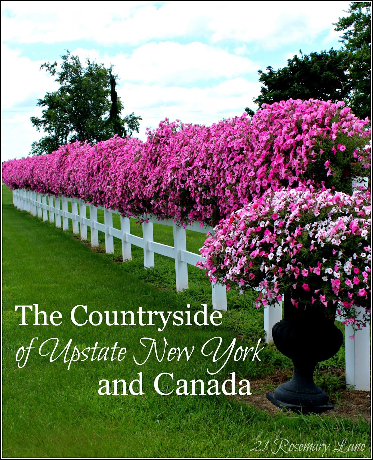 21 Rosemary Lane Images from the Side of the Road