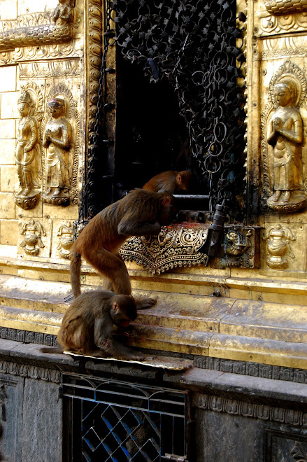 Templo de los monos(Swayambhunath)